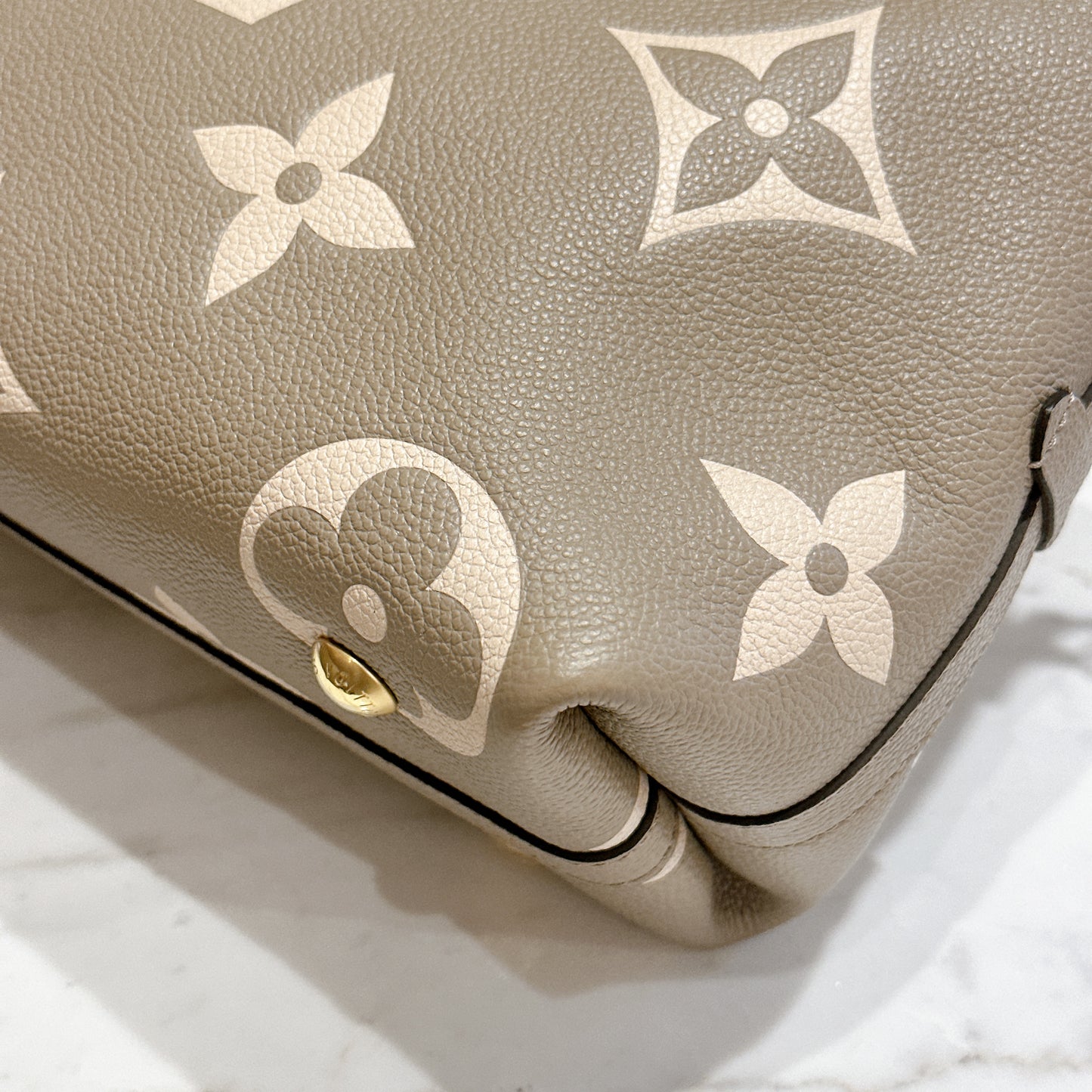 LV Carryall in Bicolour