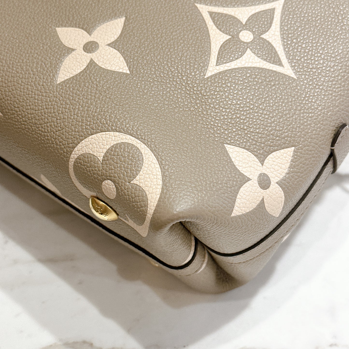 LV Carryall in Bicolour