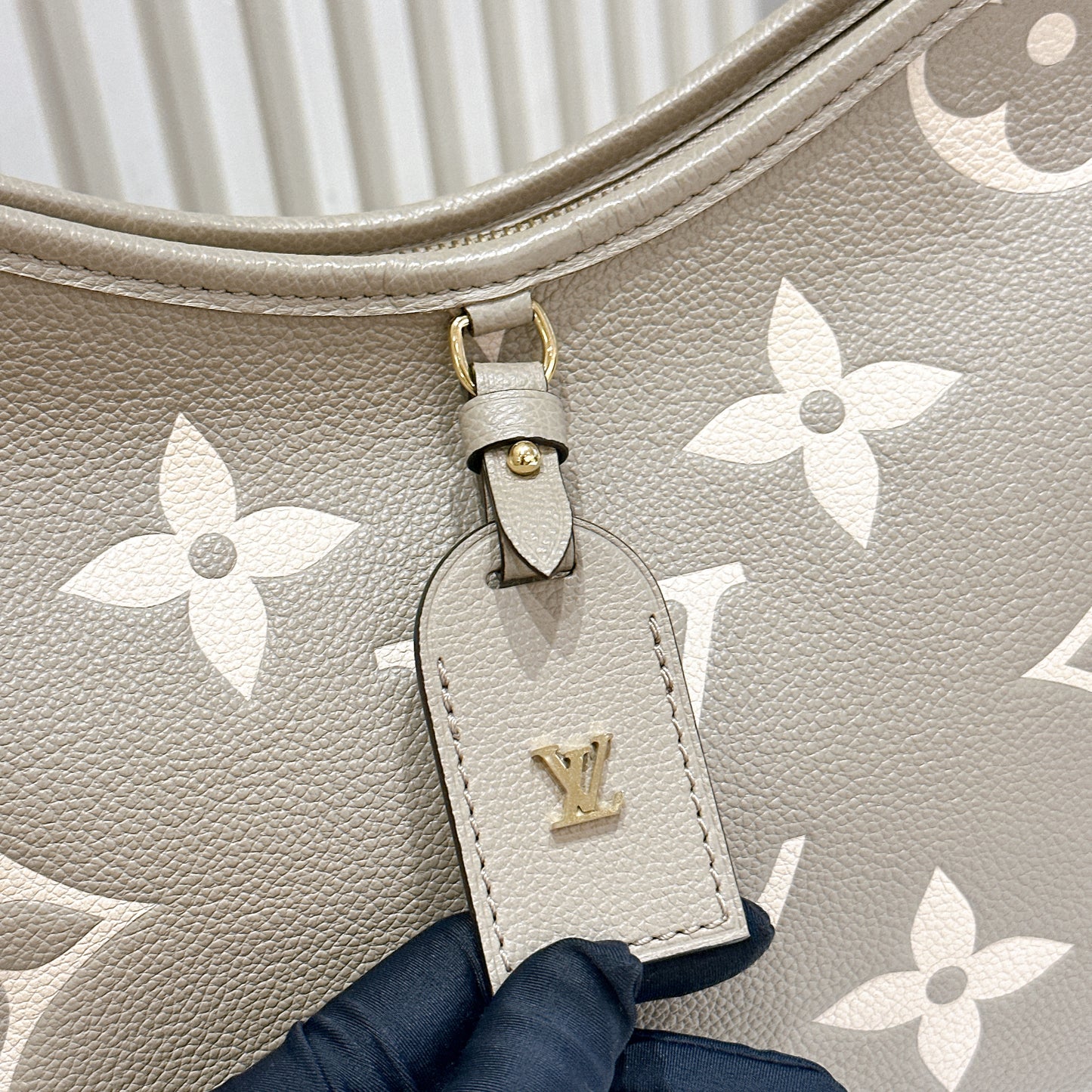LV Carryall in Bicolour
