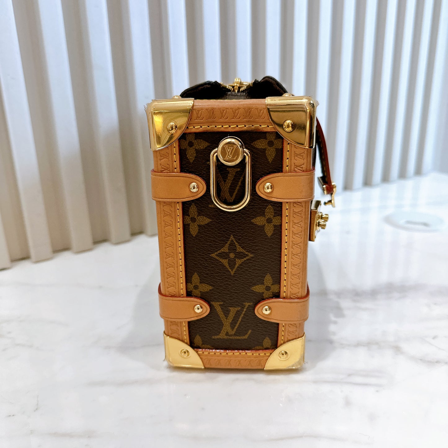 LV Monogram Side Trunk MM