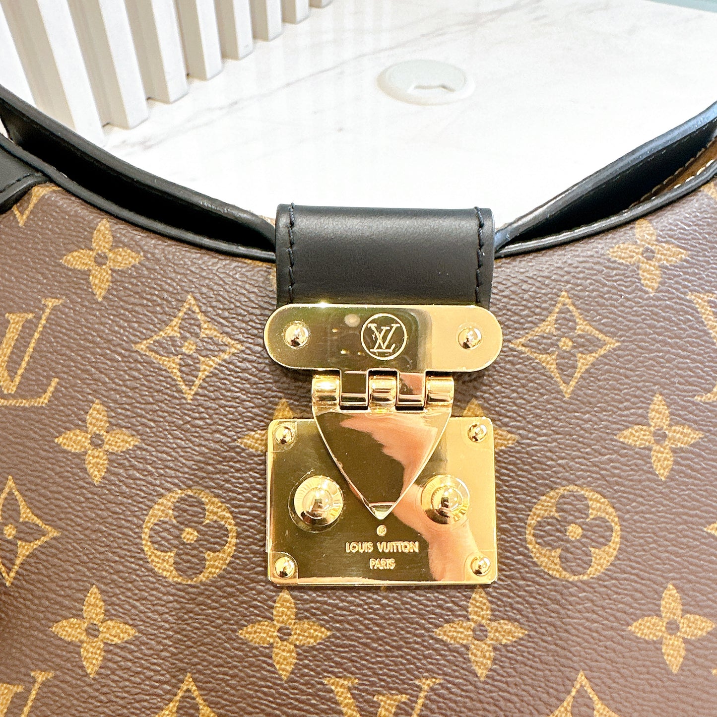 LV Monogram Reverse Twinny
