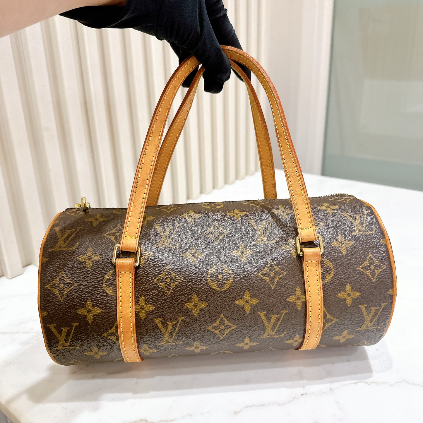 LV Monogram Papillon 26