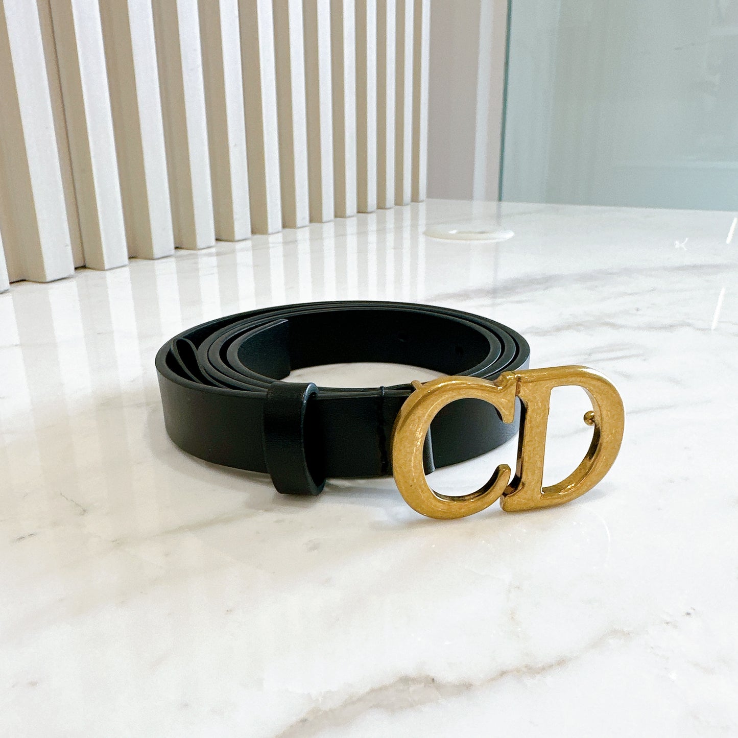 Dior Saddle Belt in Black Calfskin GHW