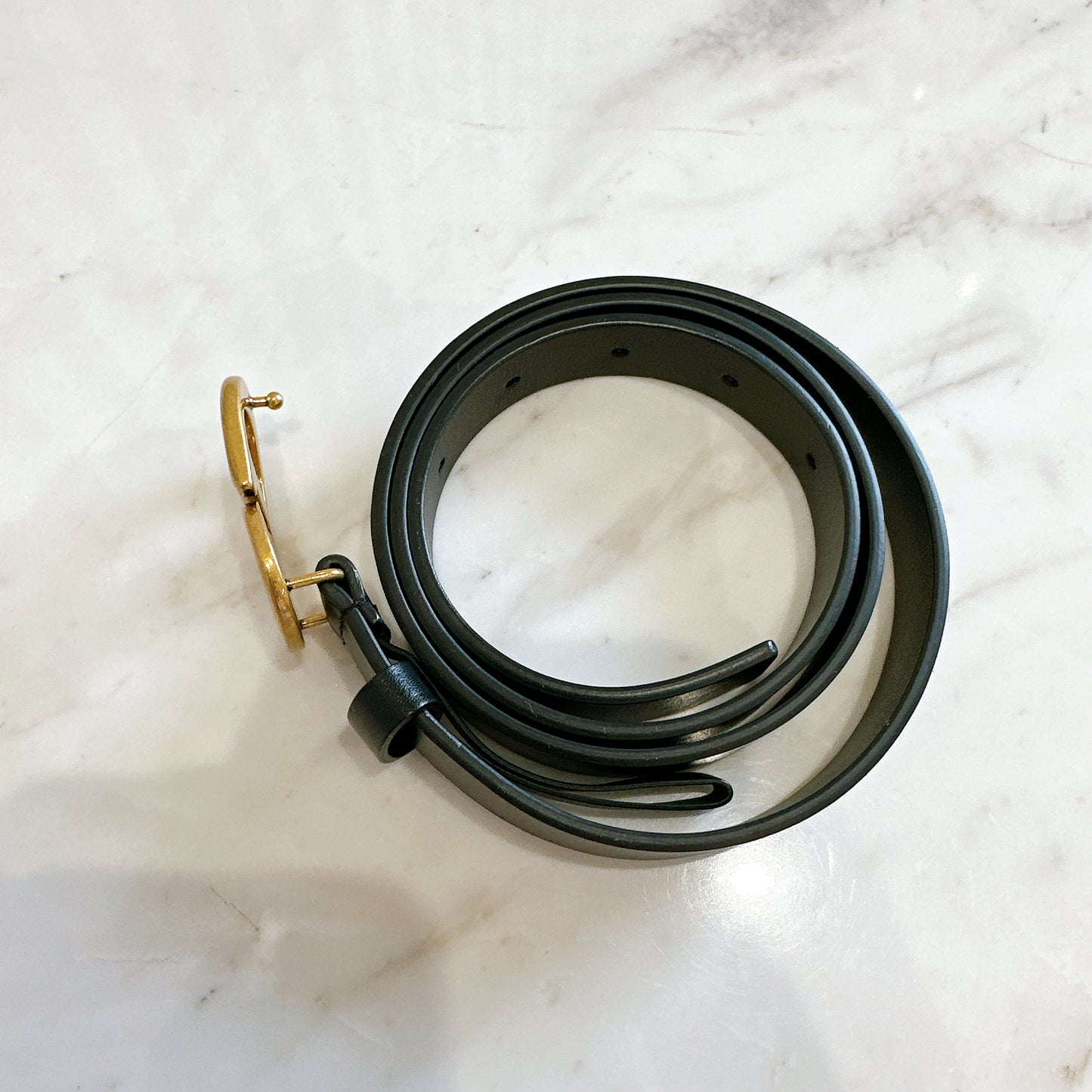 Dior Saddle Belt in Black Calfskin GHW