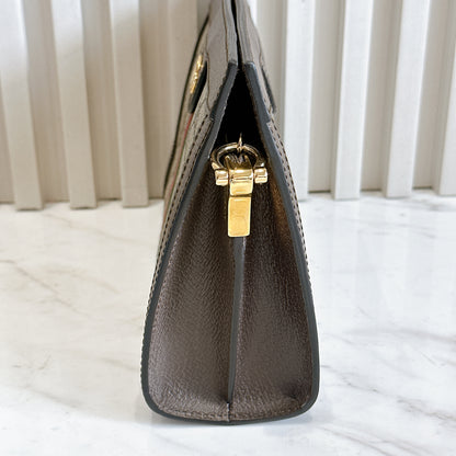Gucci Ophidia Chain Bag