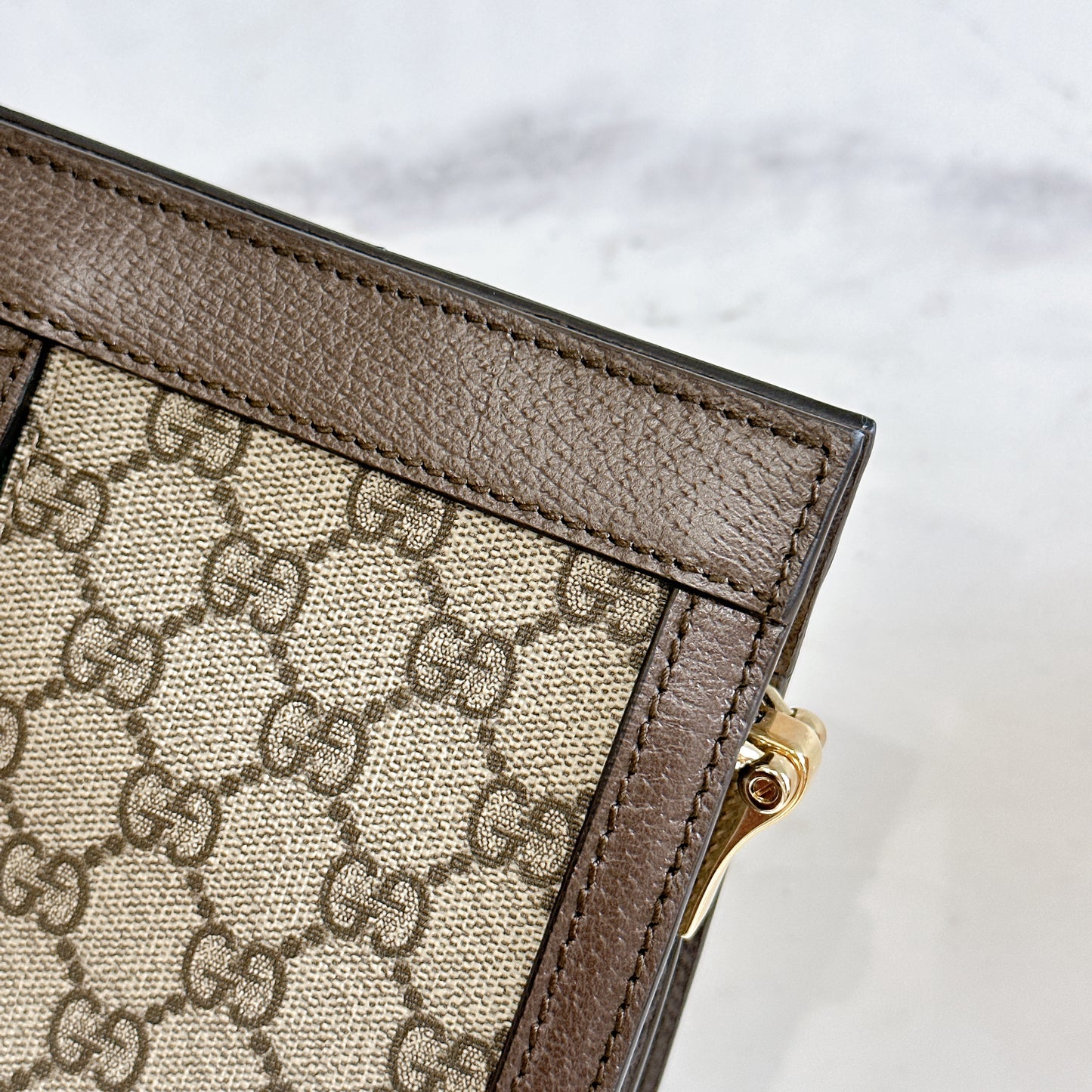 Gucci Ophidia Chain Bag