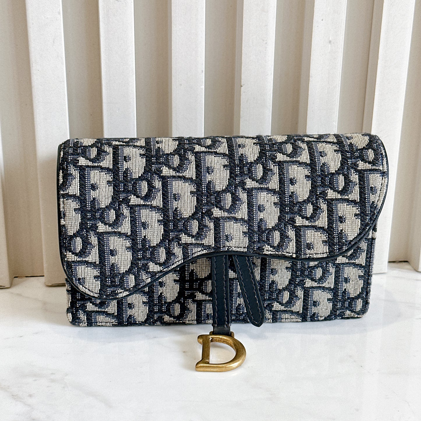 Dior Saddle Belt Pouch