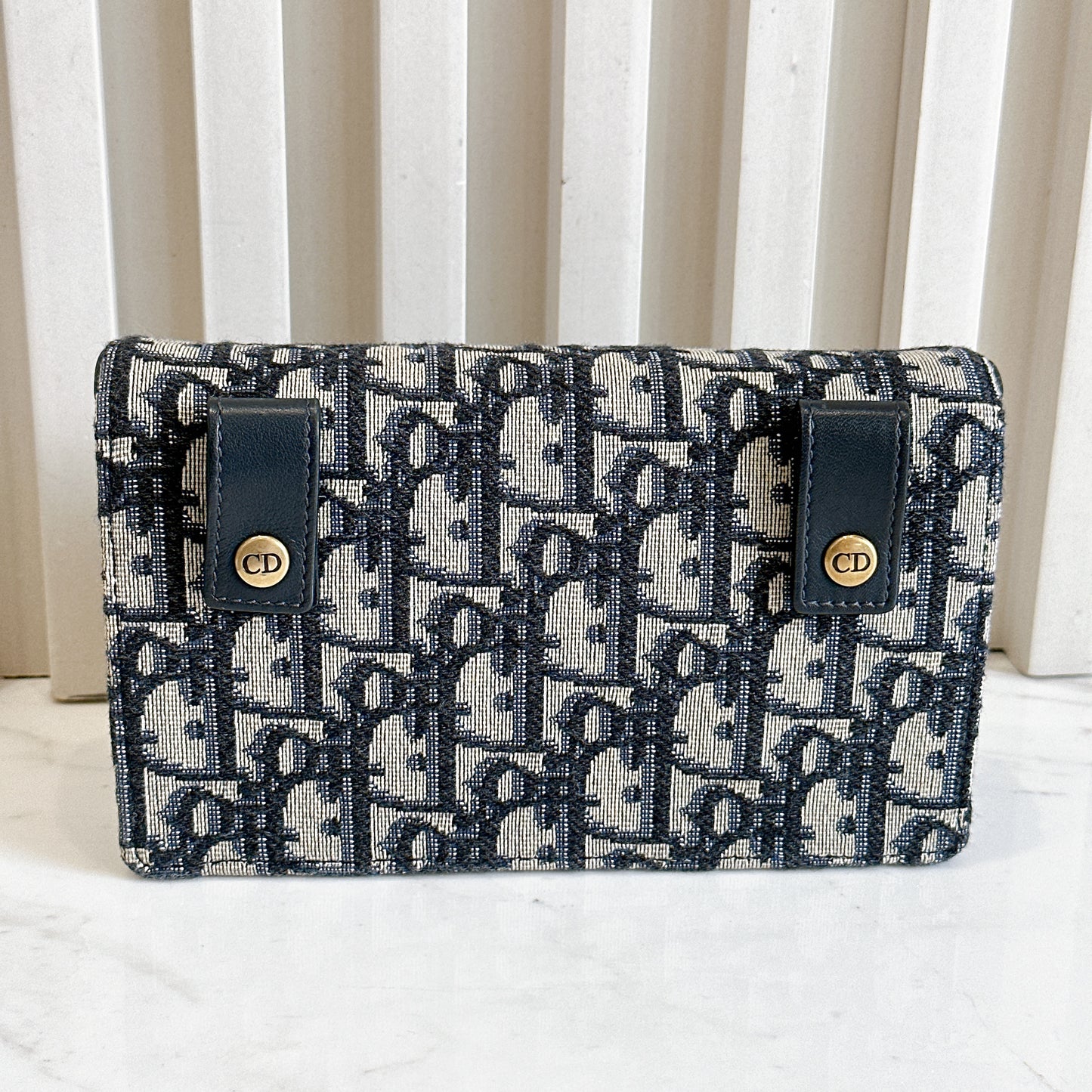 Dior Saddle Belt Pouch