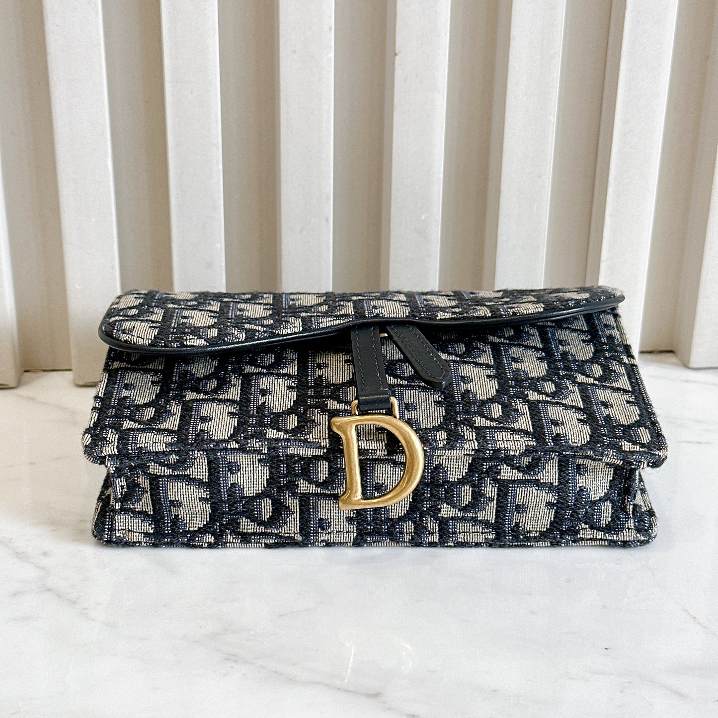 Dior Saddle Belt Pouch