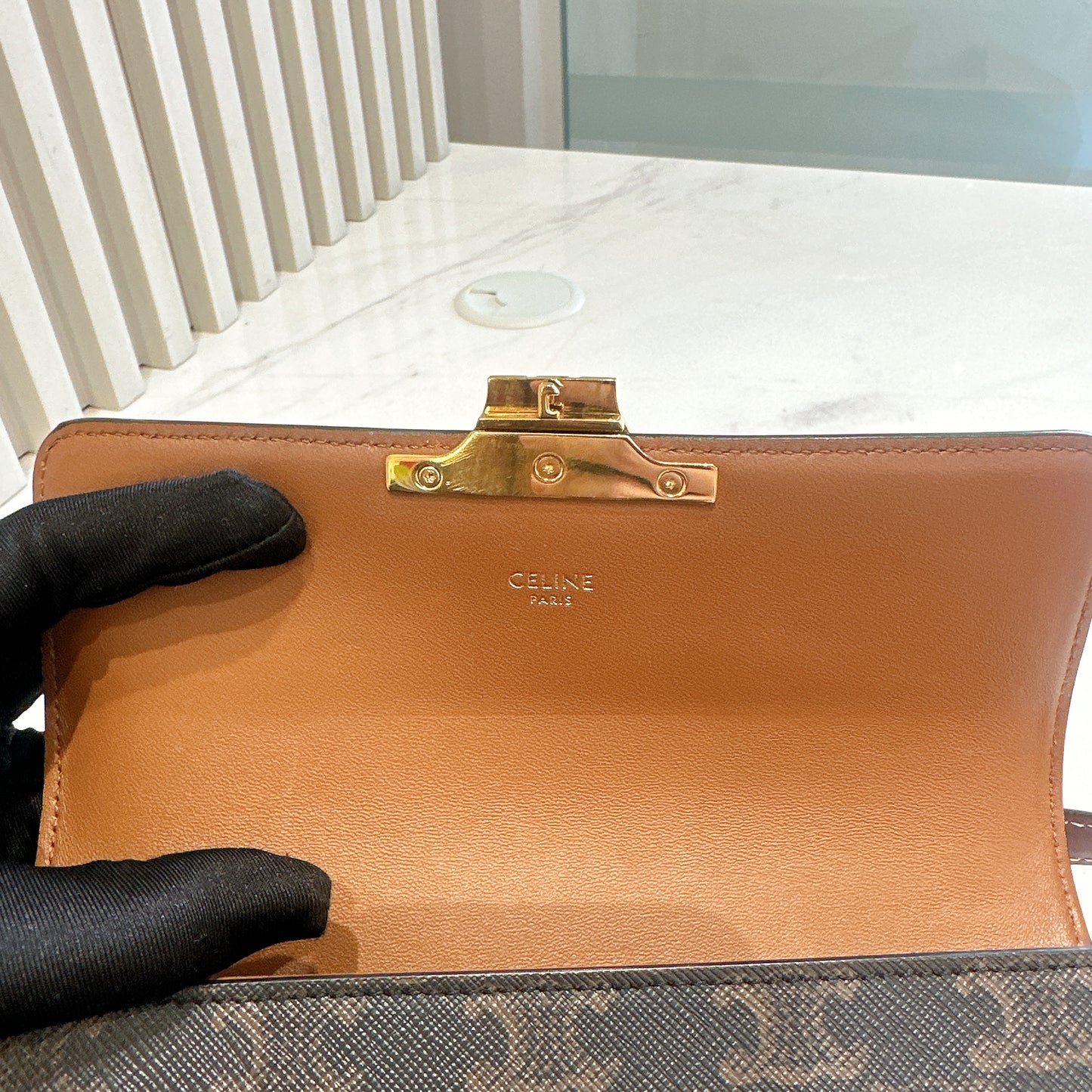 Celine Bag Claude in Triomphe Canvas
