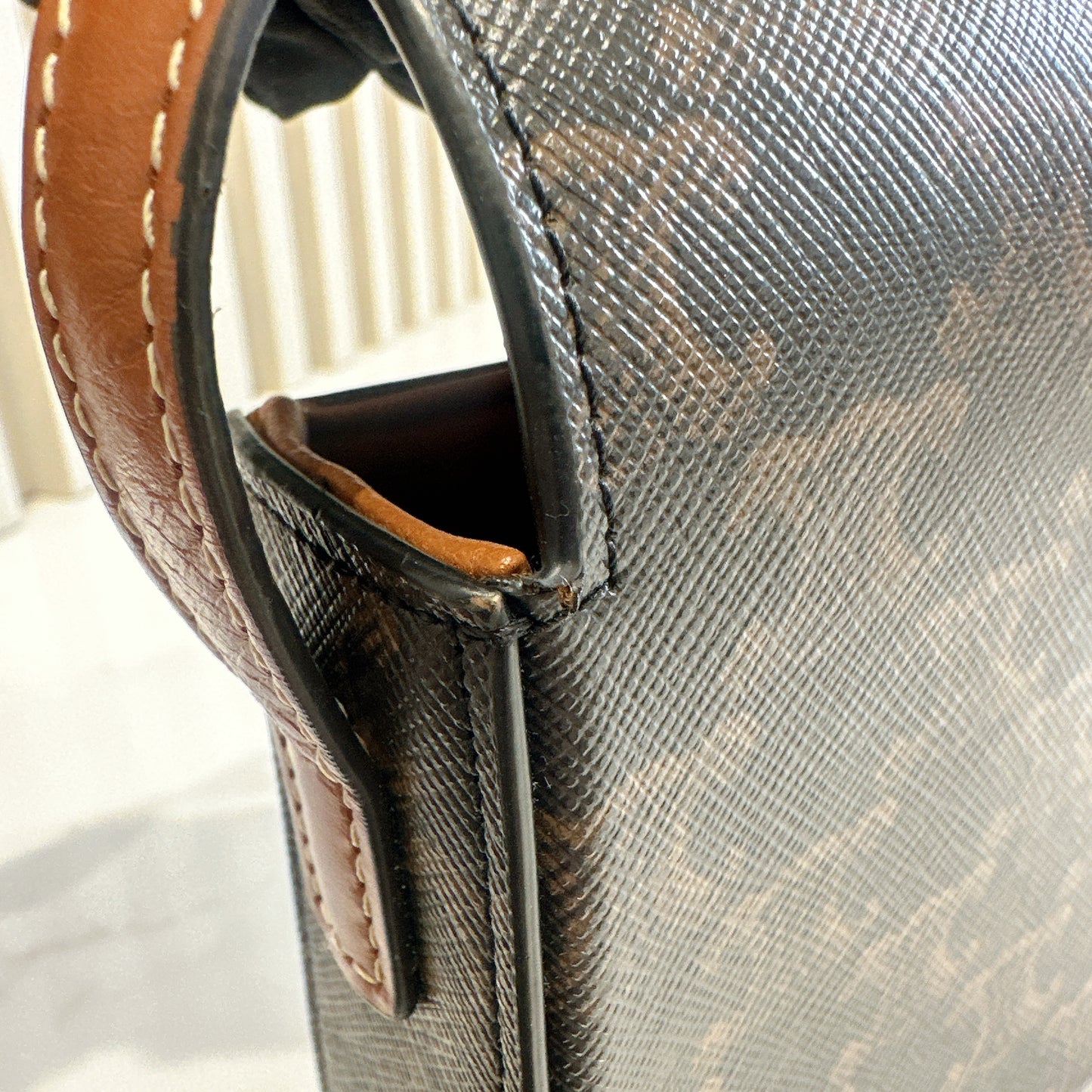 Celine Bag Claude in Triomphe Canvas