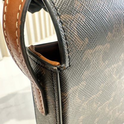 Celine Bag Claude in Triomphe Canvas