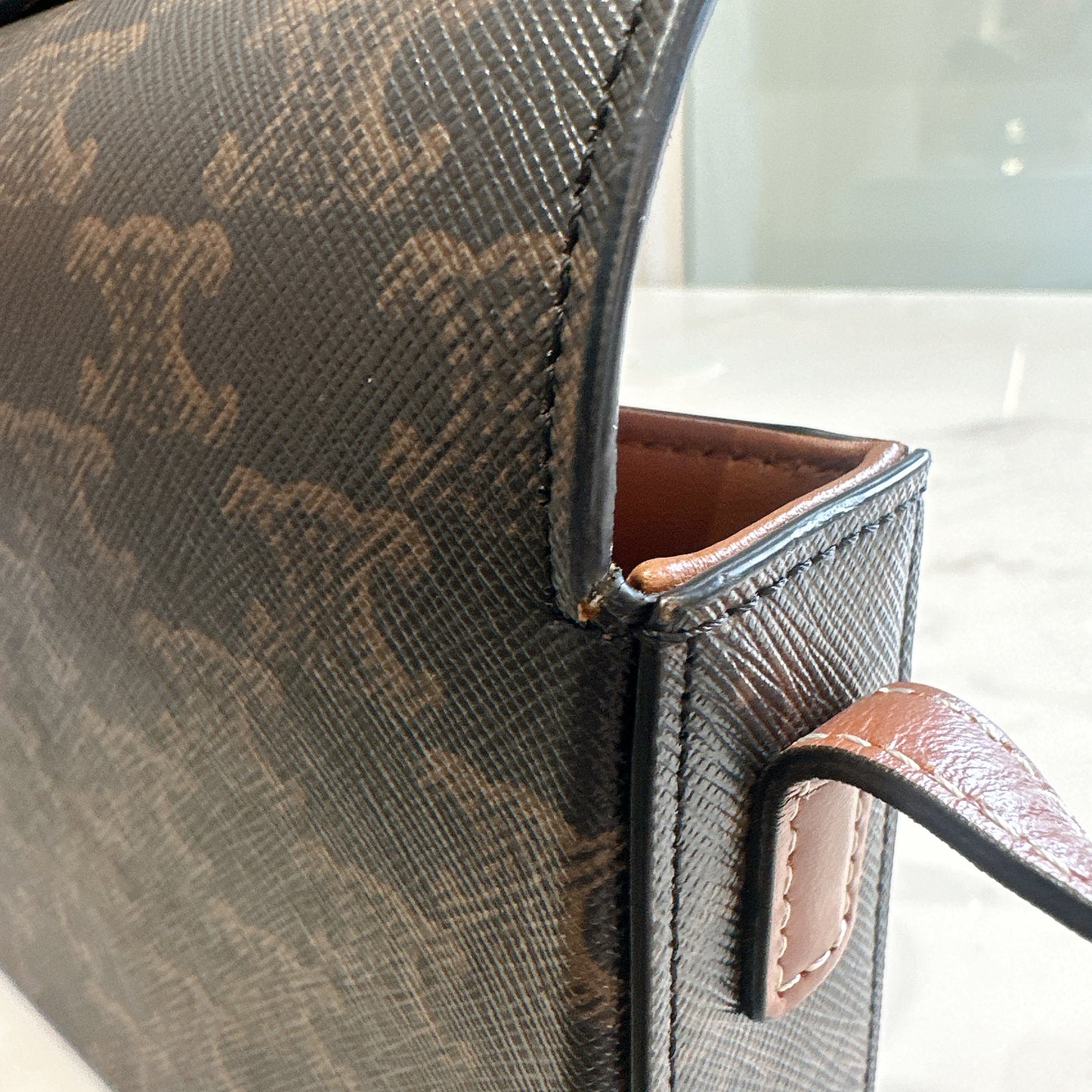 Celine Bag Claude in Triomphe Canvas