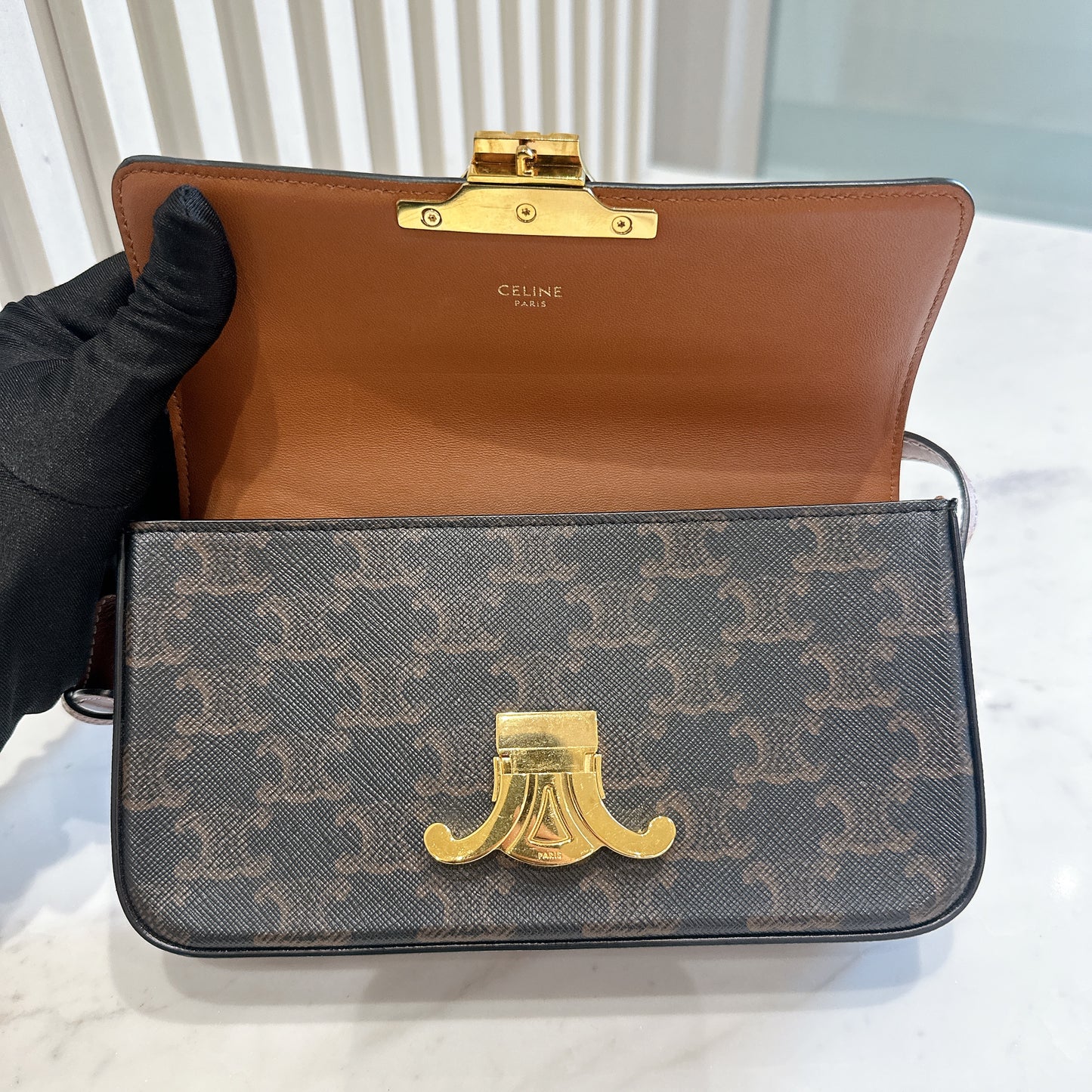 Celine Bag Claude in Triomphe Canvas