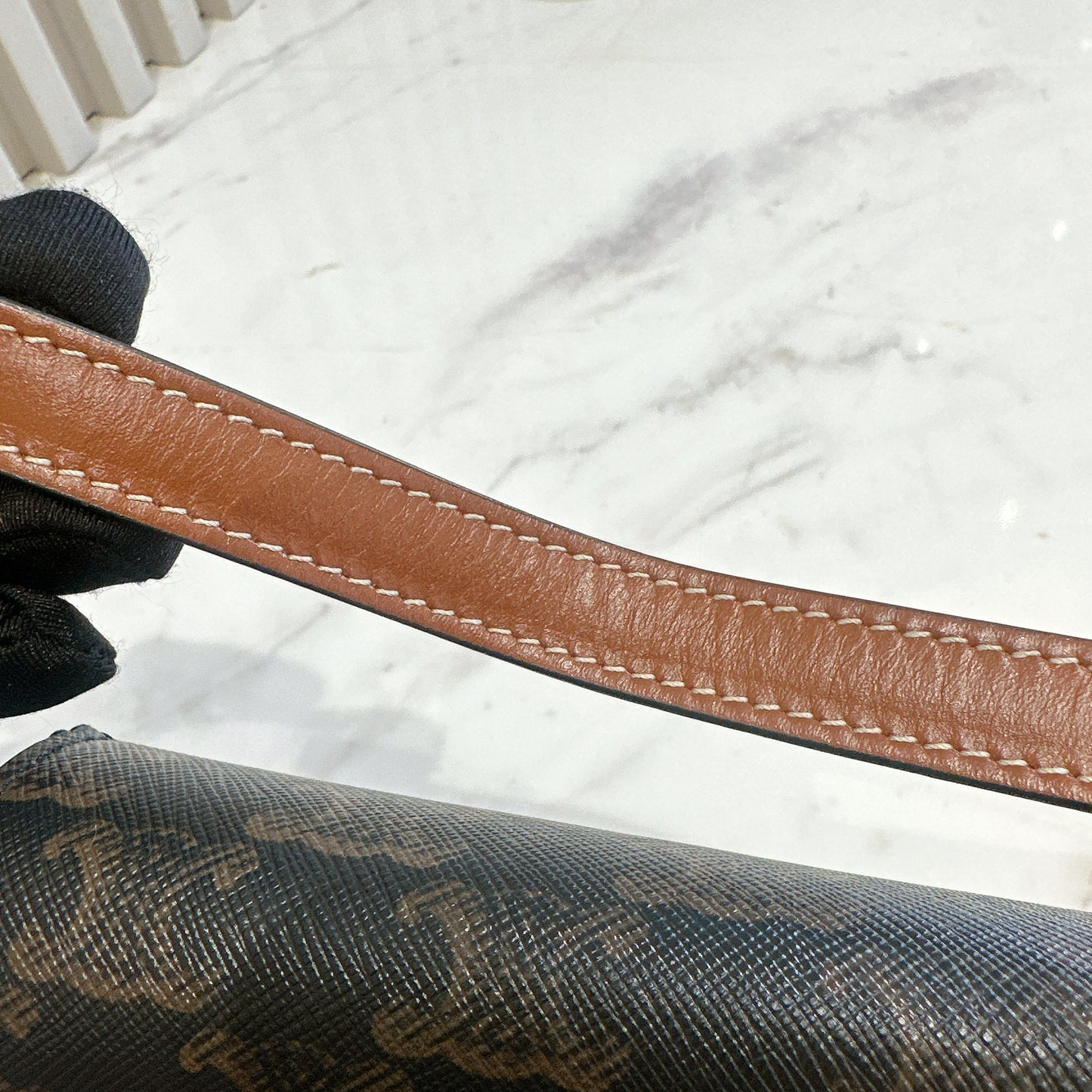 Celine Bag Claude in Triomphe Canvas