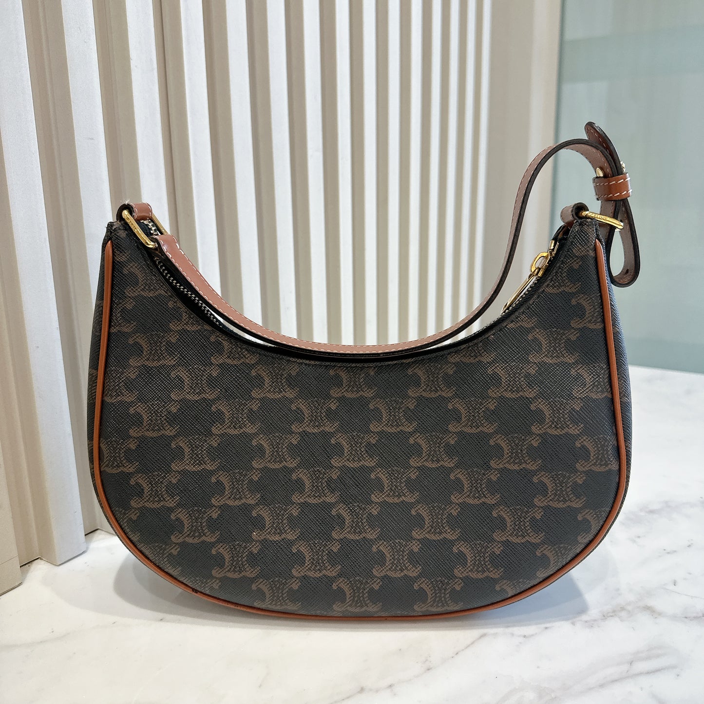 Celine Ava in Tan Triomphe Canvas