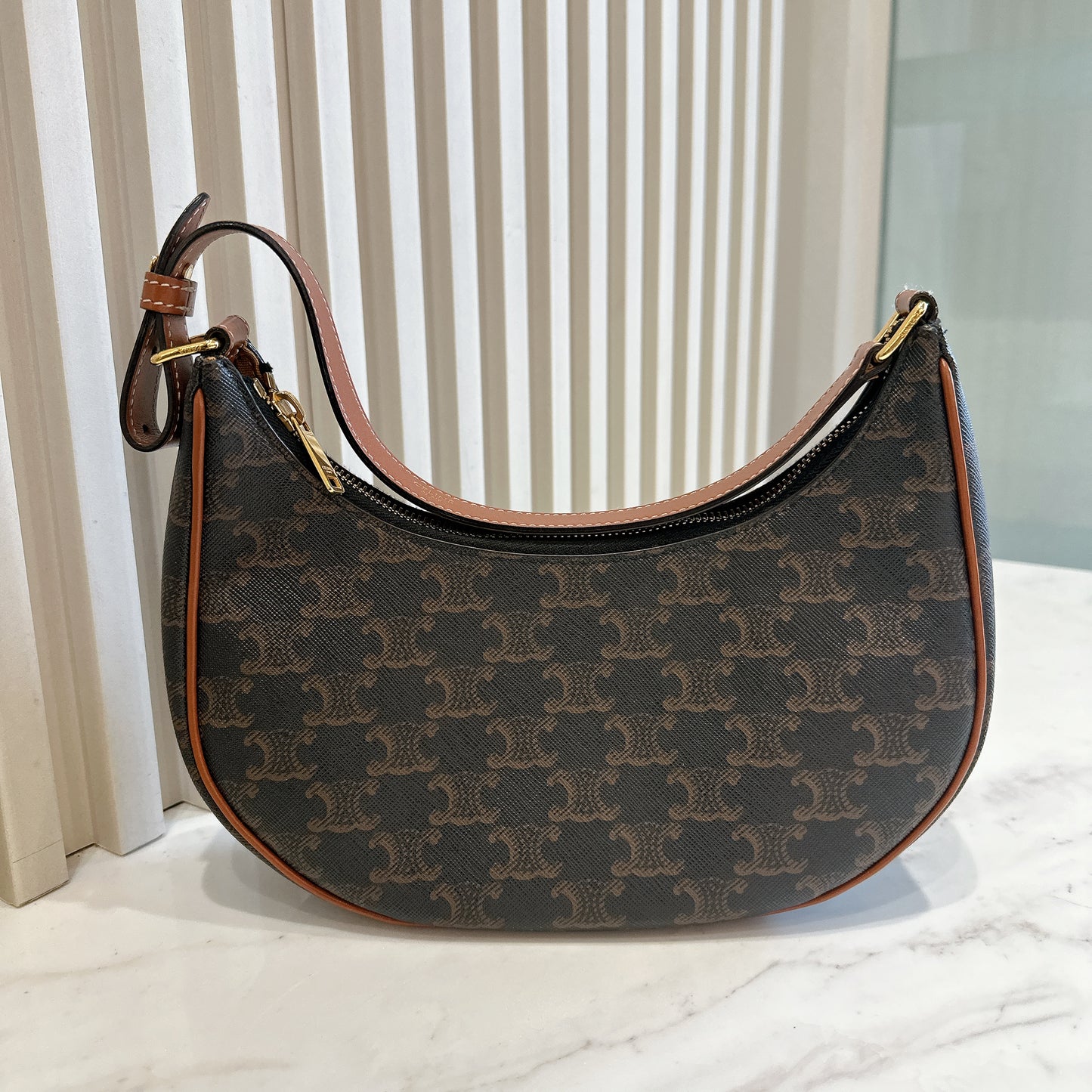 Celine Ava in Tan Triomphe Canvas