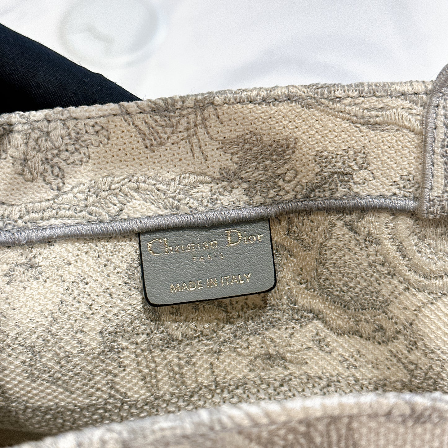 Dior Medium Book Tote in Blue Toile de Jouy Embroidery