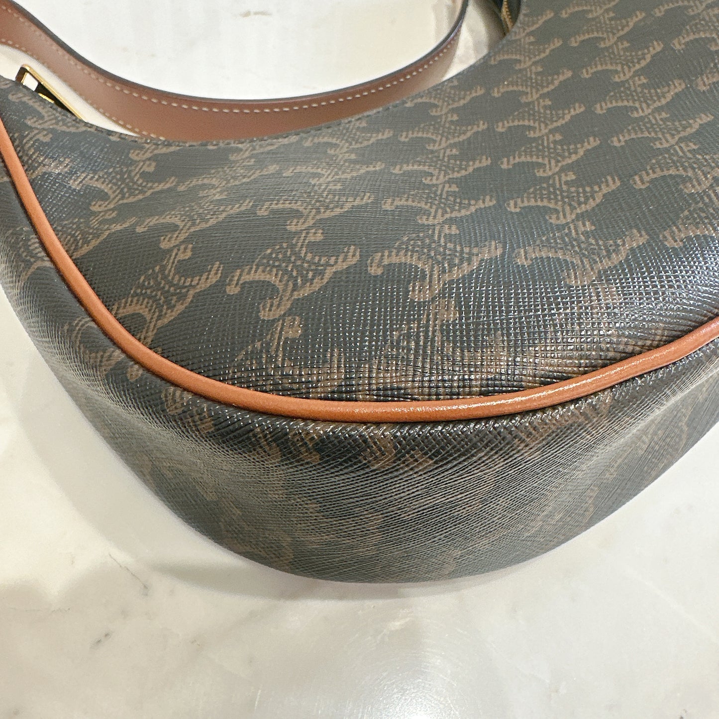 Celine Ava in Tan Triomphe Canvas