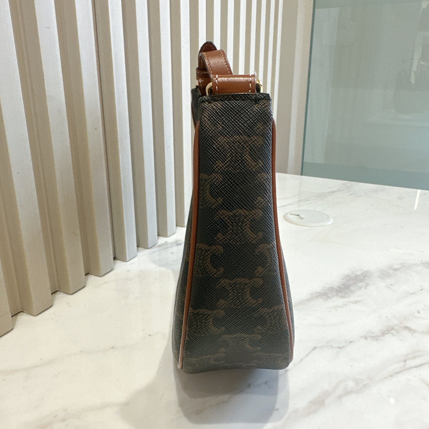 Celine Ava in Tan Triomphe Canvas