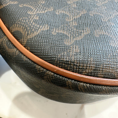 Celine Ava in Tan Triomphe Canvas