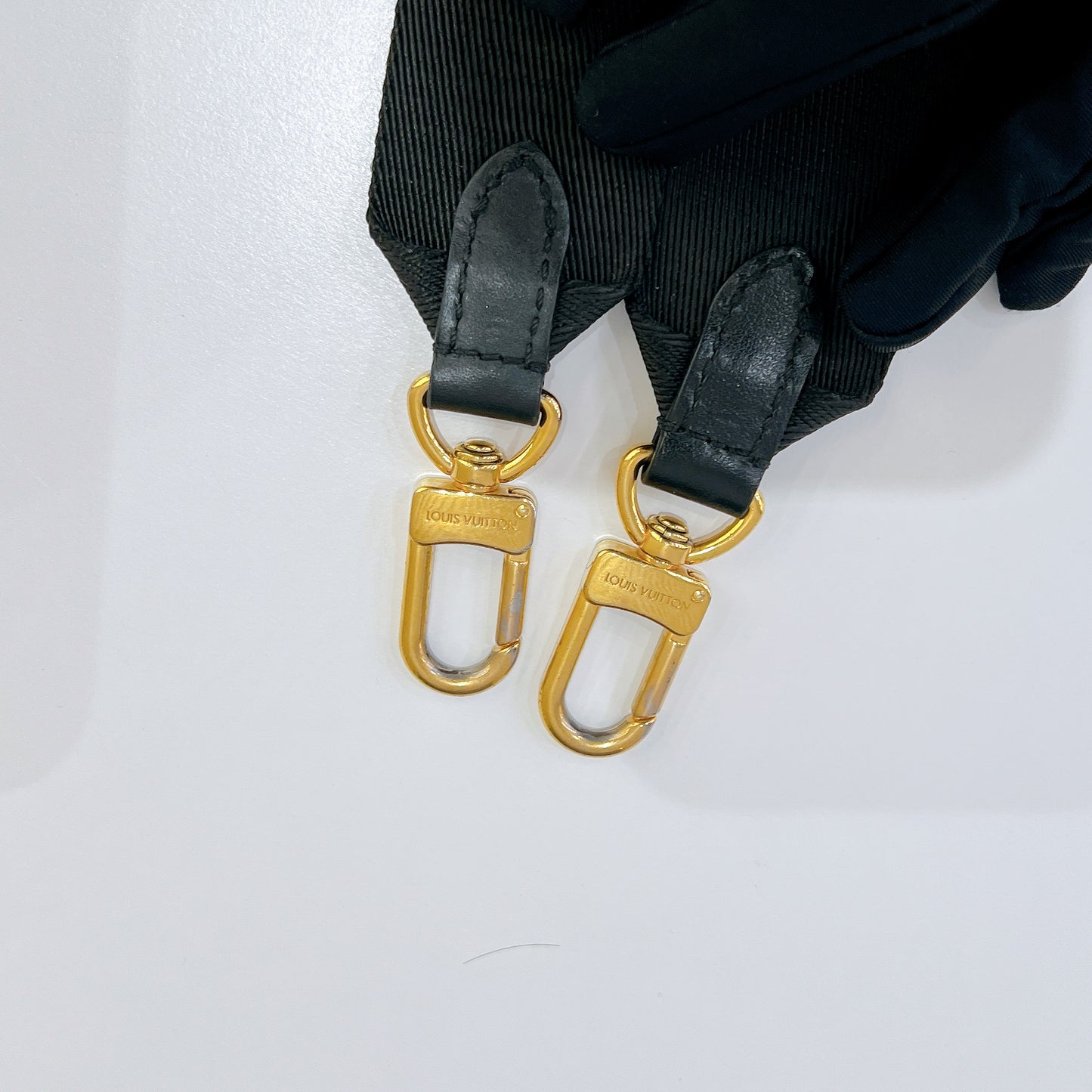 LV Monogram Petite Souple Malle
