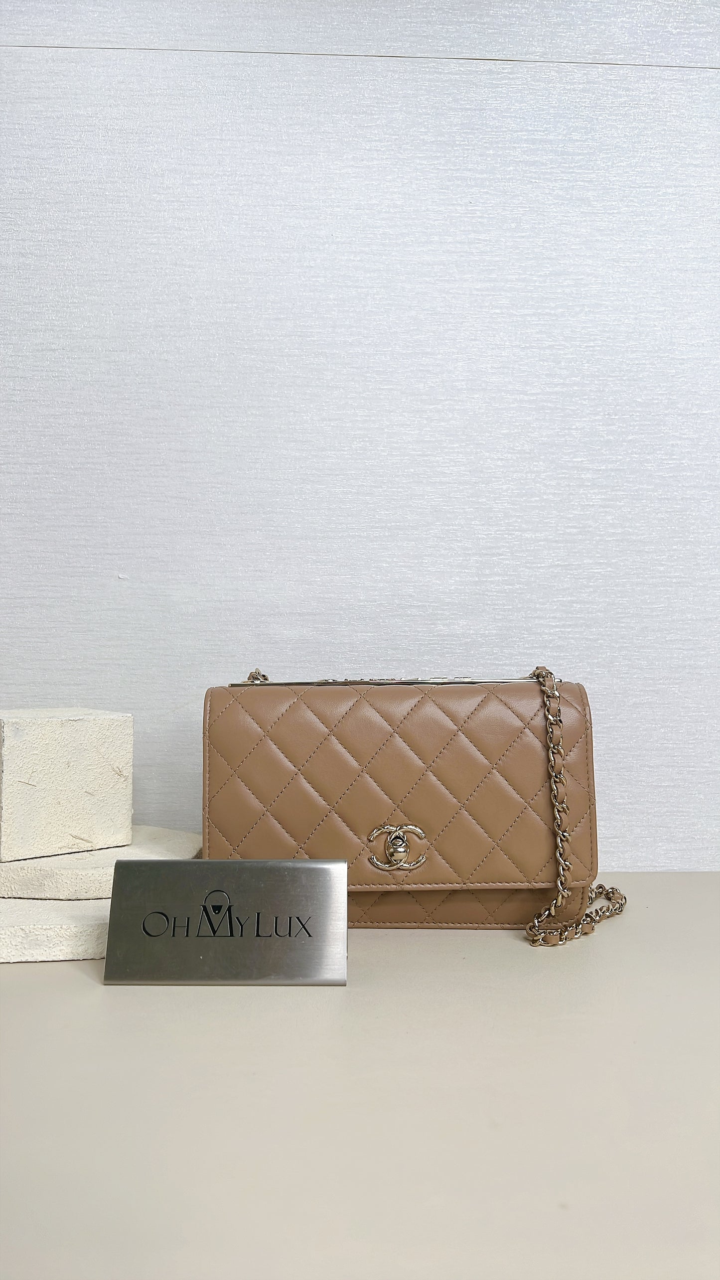 Chanel Trendy CC Wallet On Chain in Beige