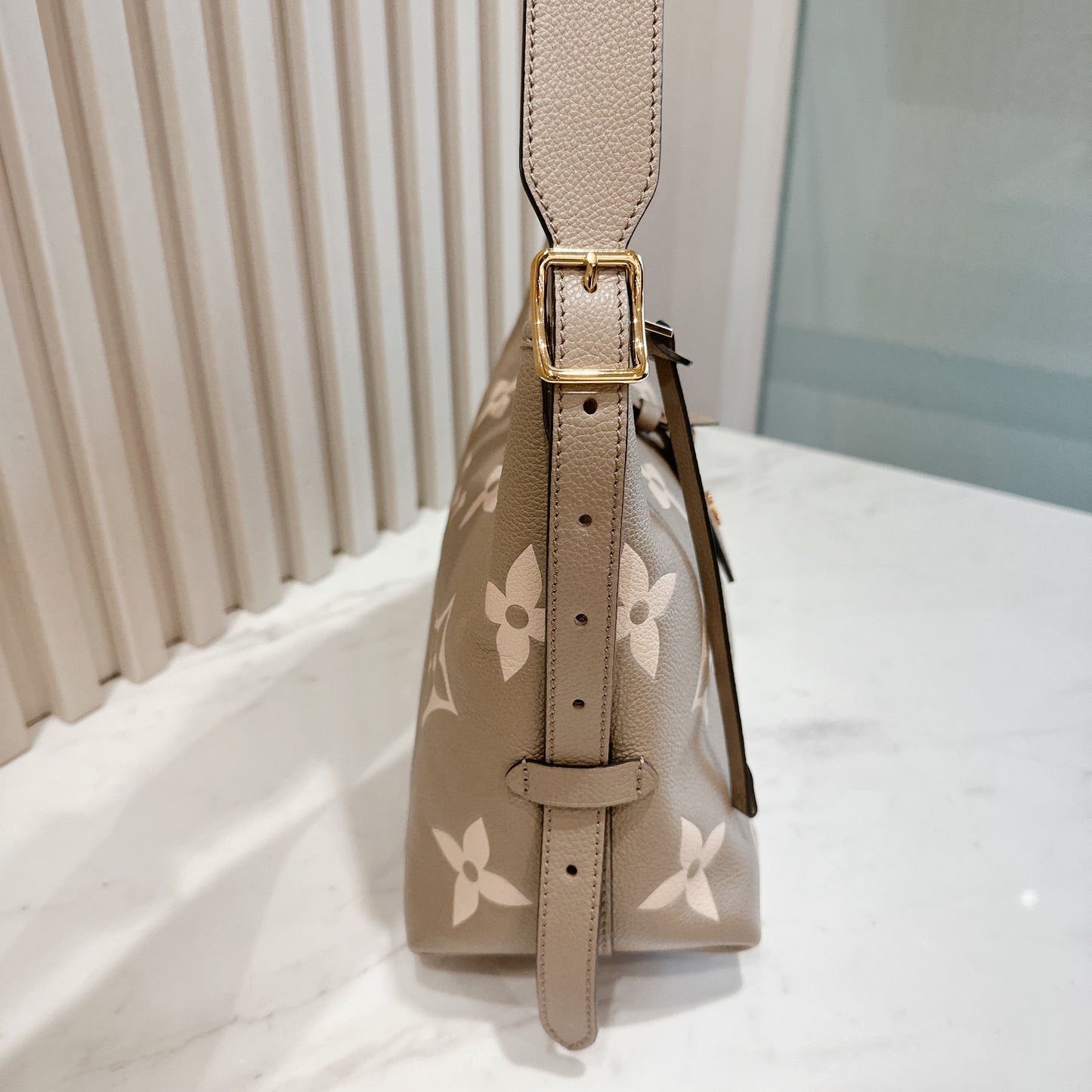 LV CarryAll PM Bicolour Monogram Empreinte