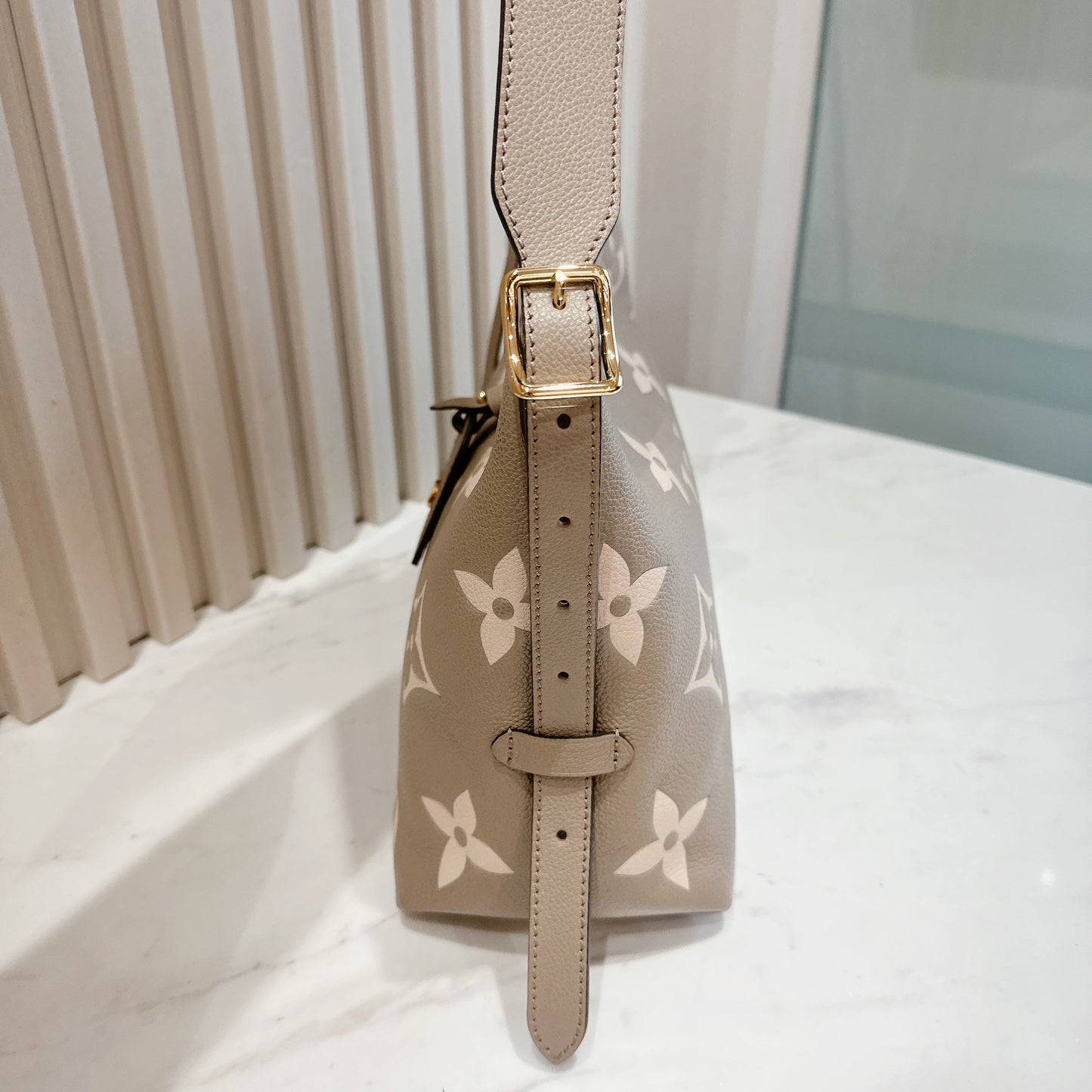 LV CarryAll PM Bicolour Monogram Empreinte