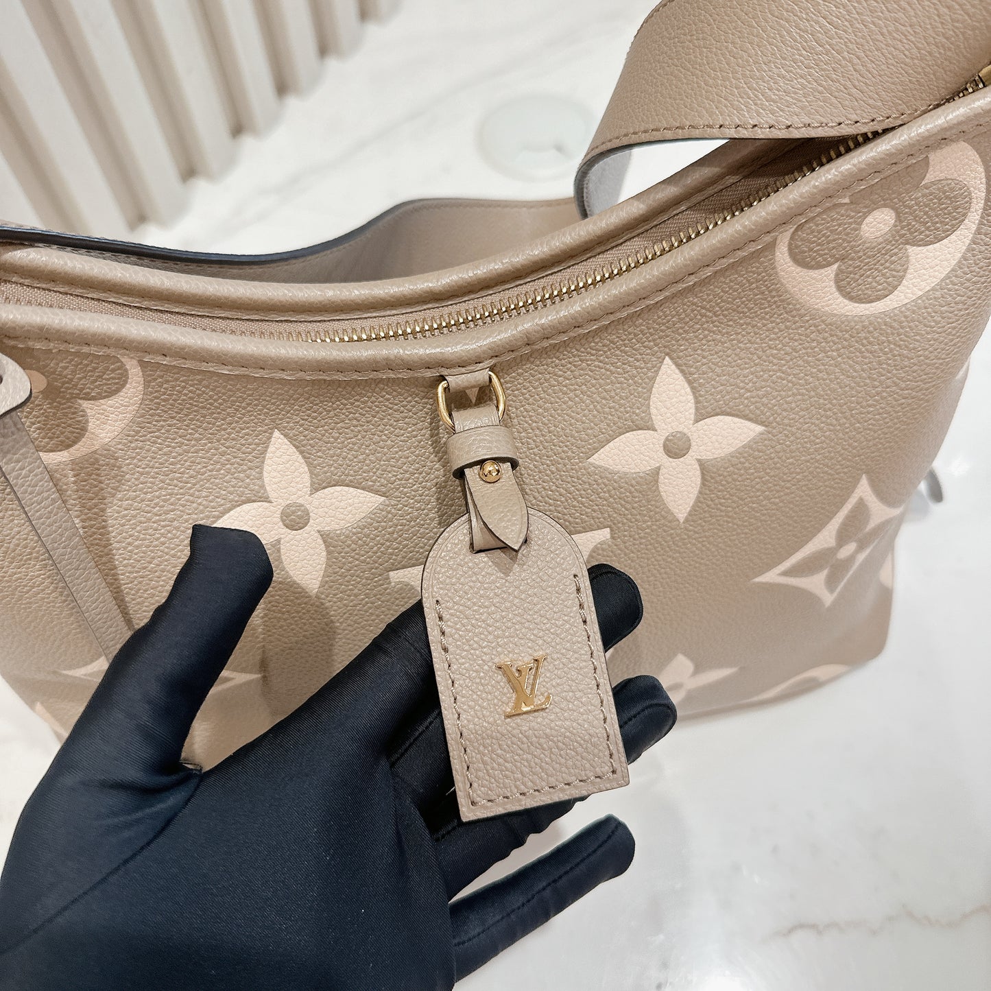 LV CarryAll PM Bicolour Monogram Empreinte