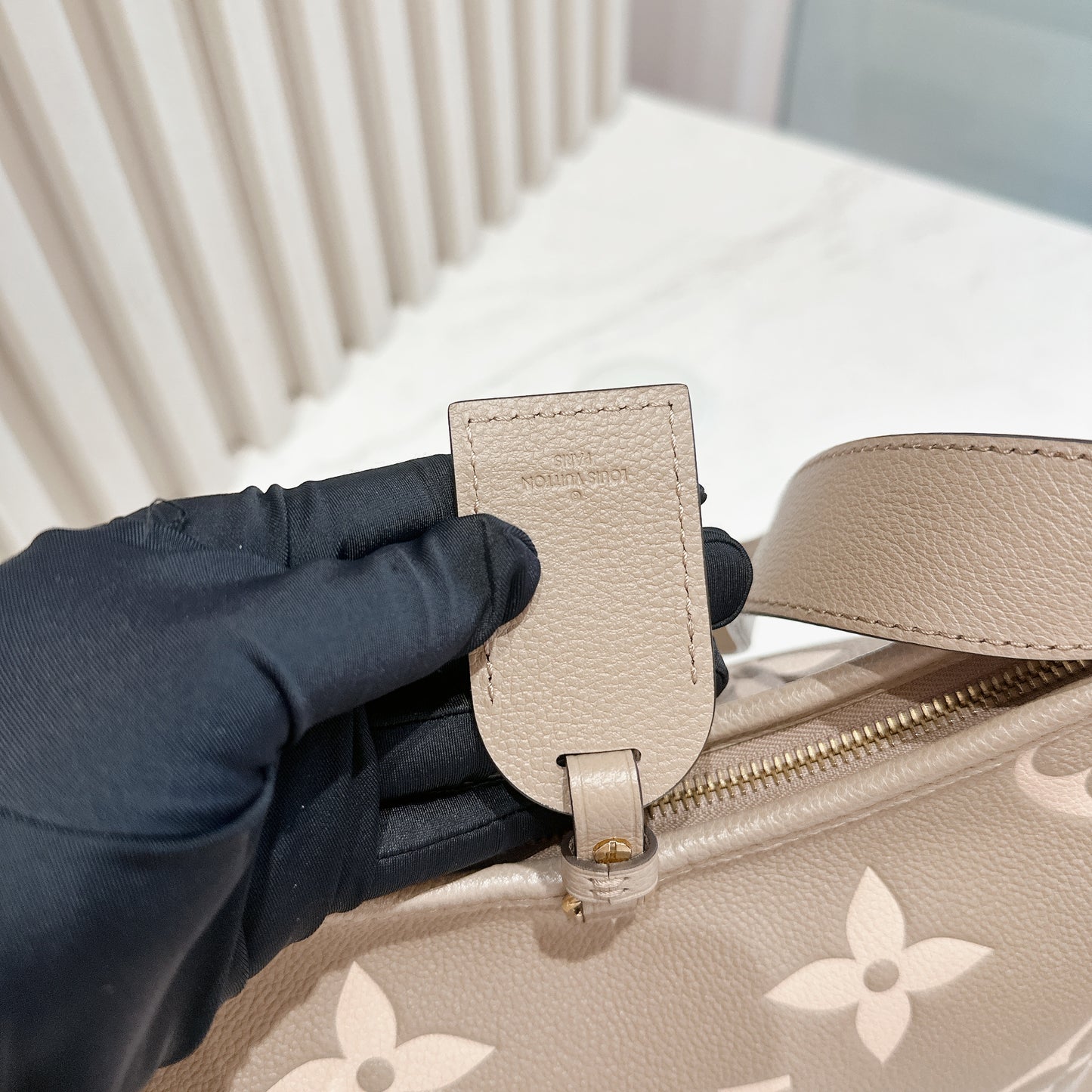 LV CarryAll PM Bicolour Monogram Empreinte