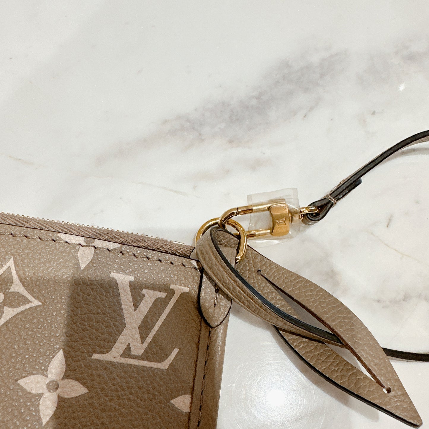 LV CarryAll PM Bicolour Monogram Empreinte