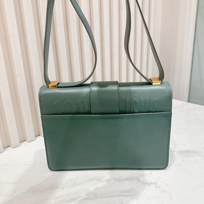 Dior Montaigne 30 Calfskin in Green