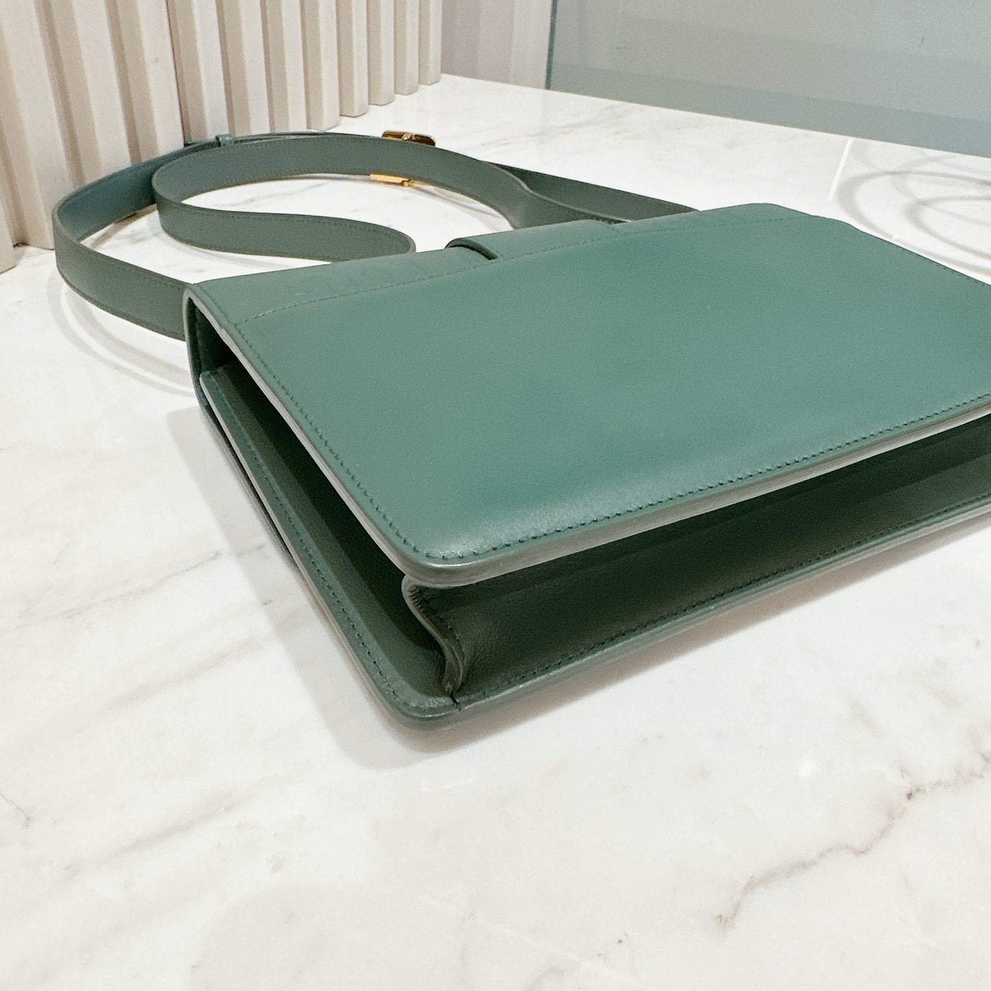 Dior Montaigne 30 Calfskin in Green