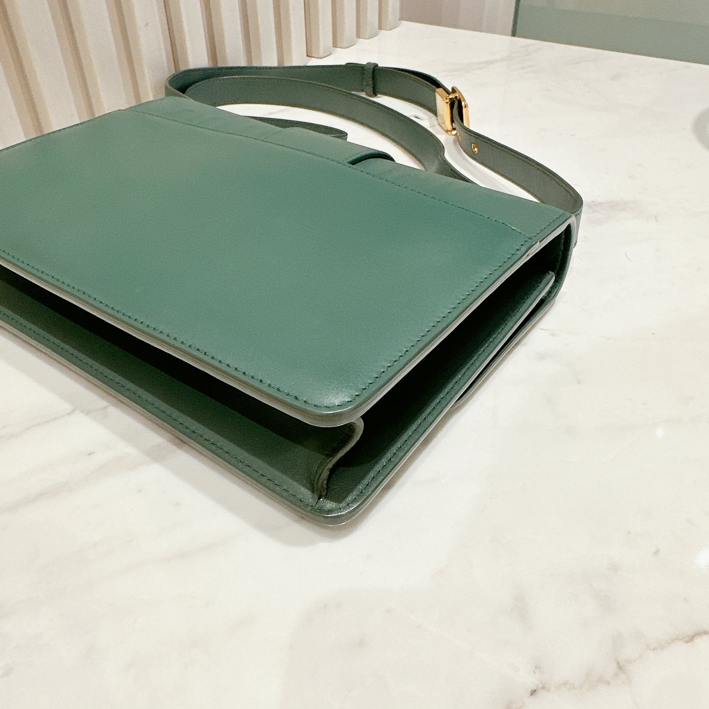 Dior Montaigne 30 Calfskin in Green