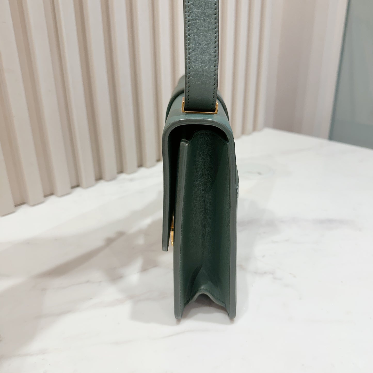 Dior Montaigne 30 Calfskin in Green