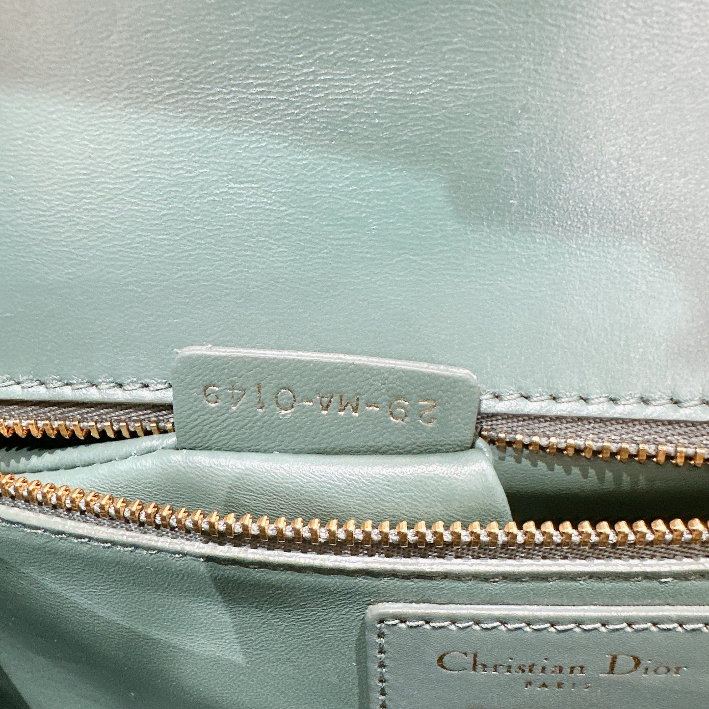 Dior Montaigne 30 Calfskin in Green