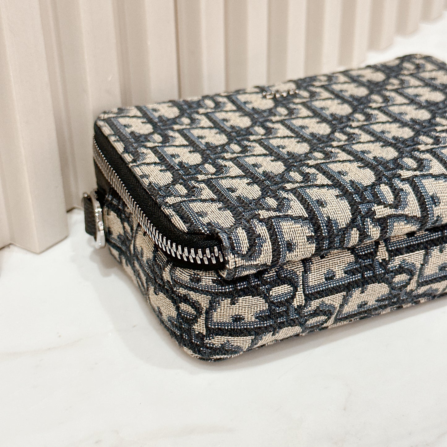 Dior Zipped Pouch with Strap