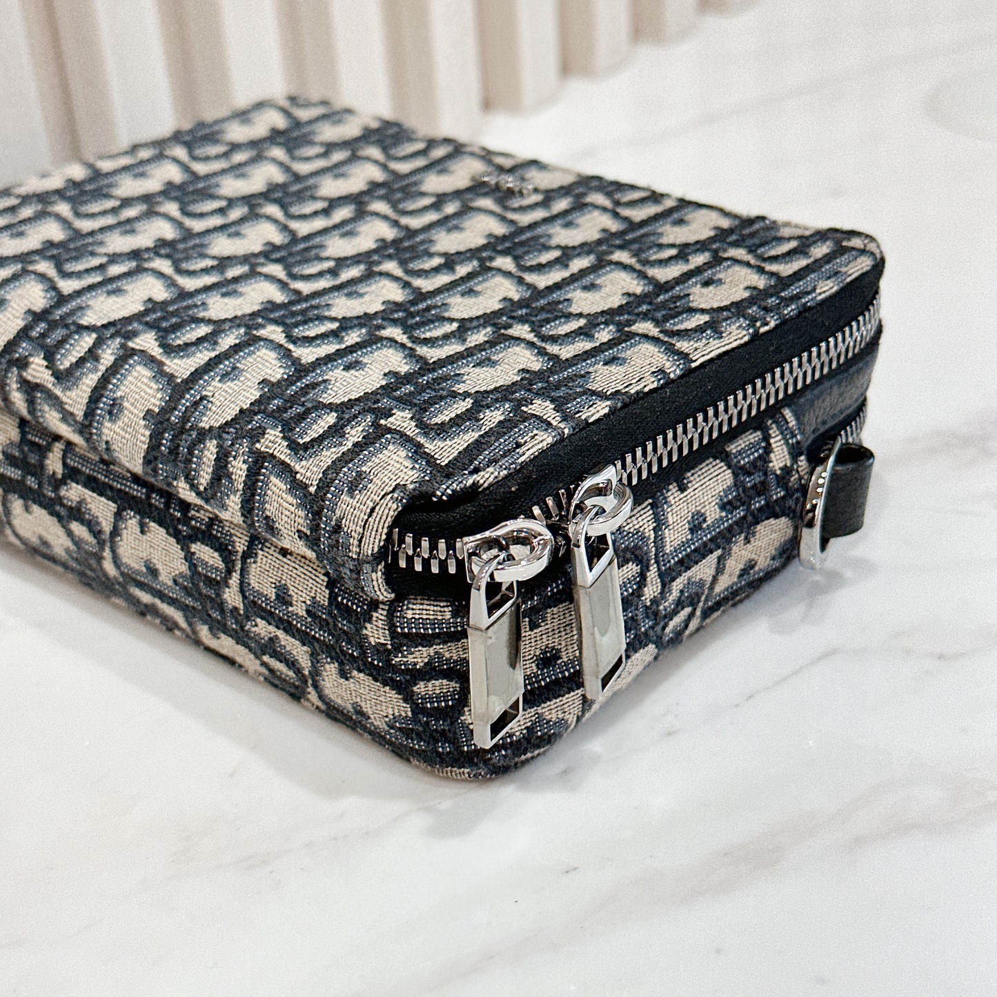 Dior Zipped Pouch with Strap
