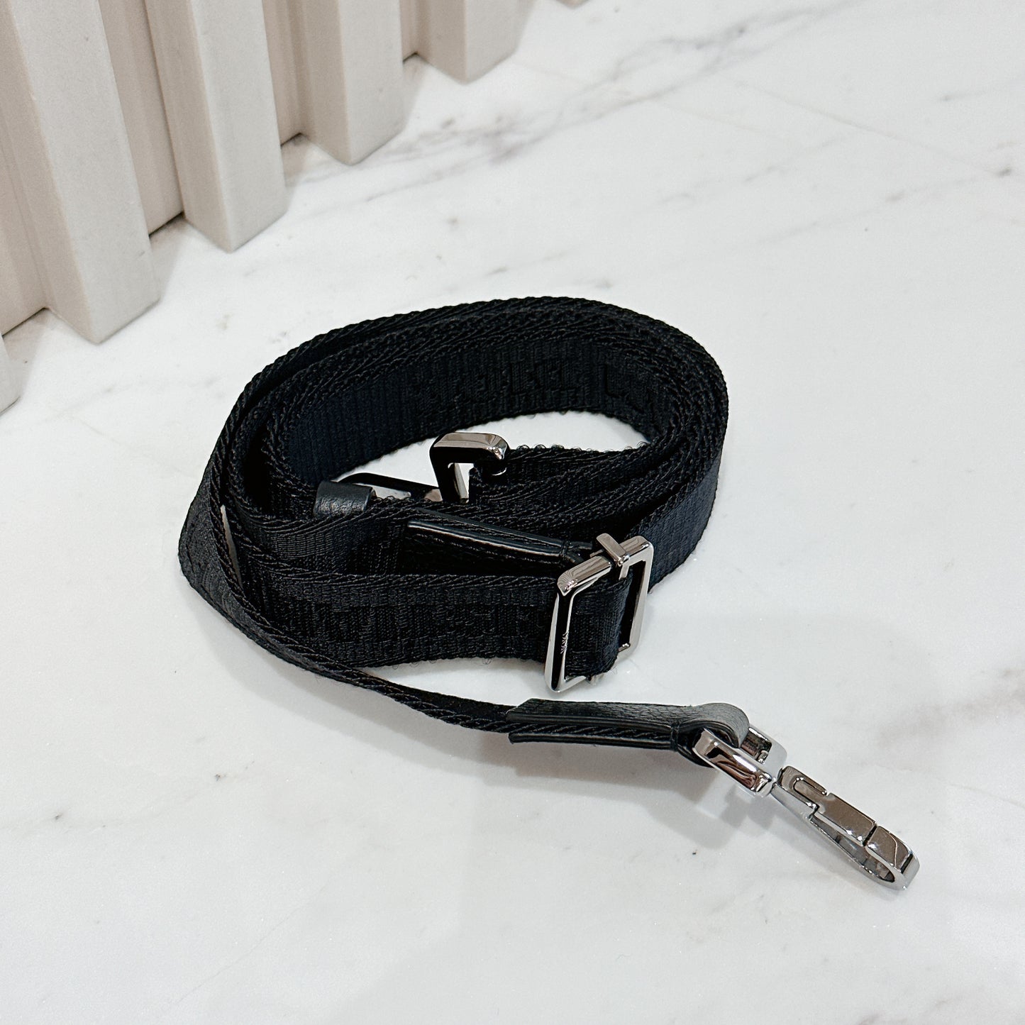 Dior Zipped Pouch with Strap