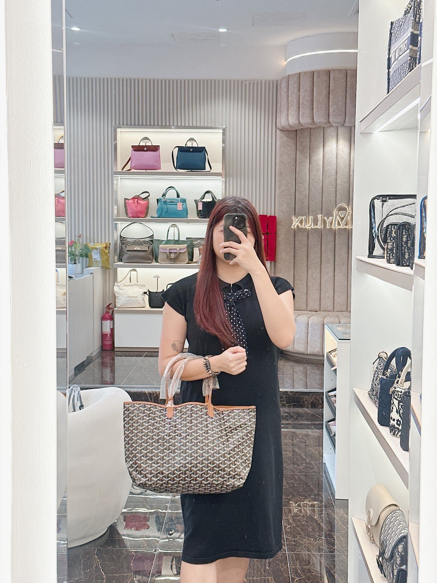 Goyard St Louis in Tan