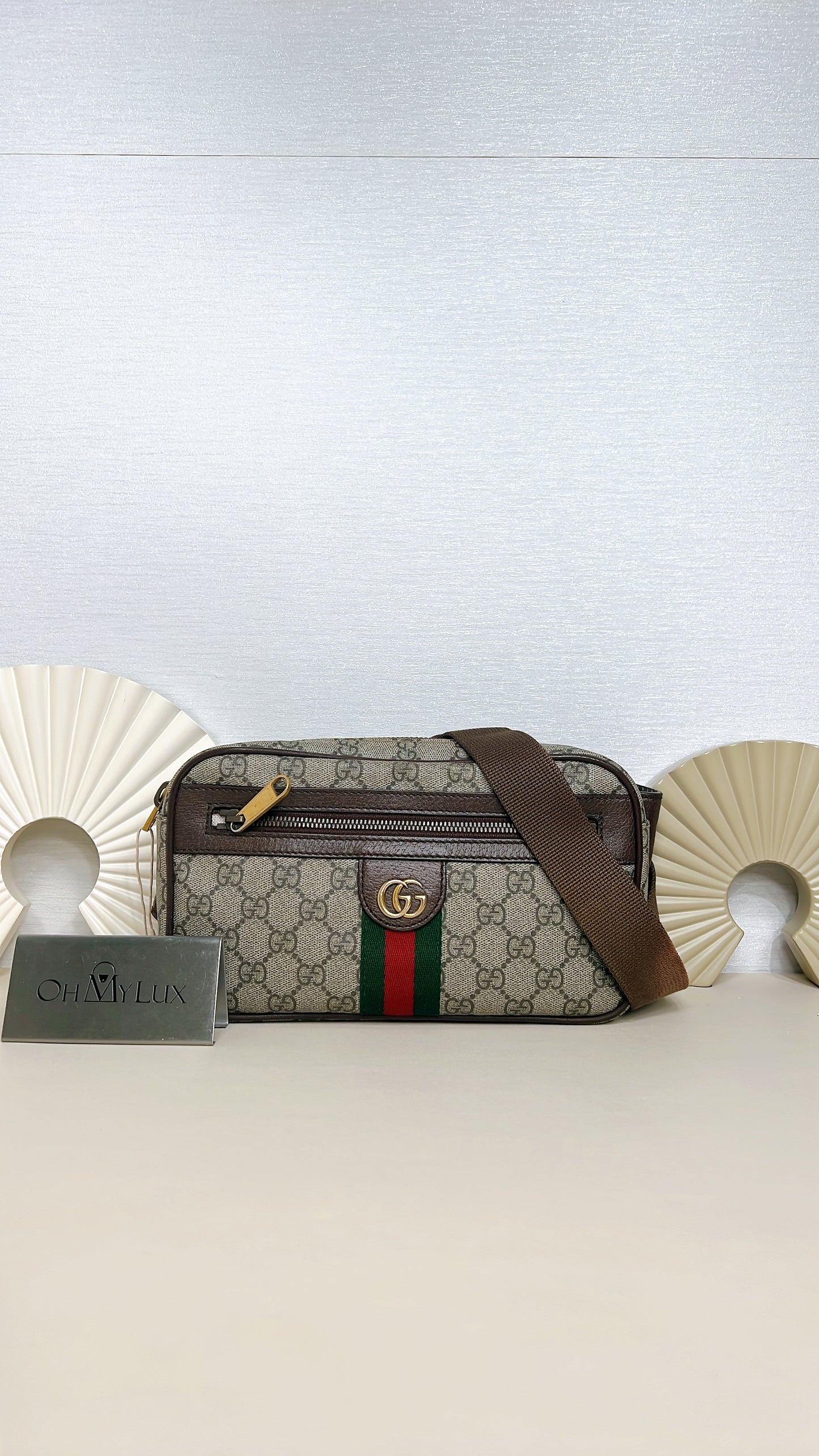 Gucci Ophidia GG Supreme Canvas Belt Bag
