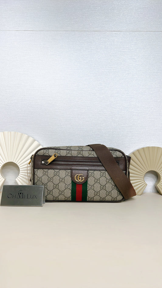 Gucci Ophidia GG Supreme Canvas Belt Bag