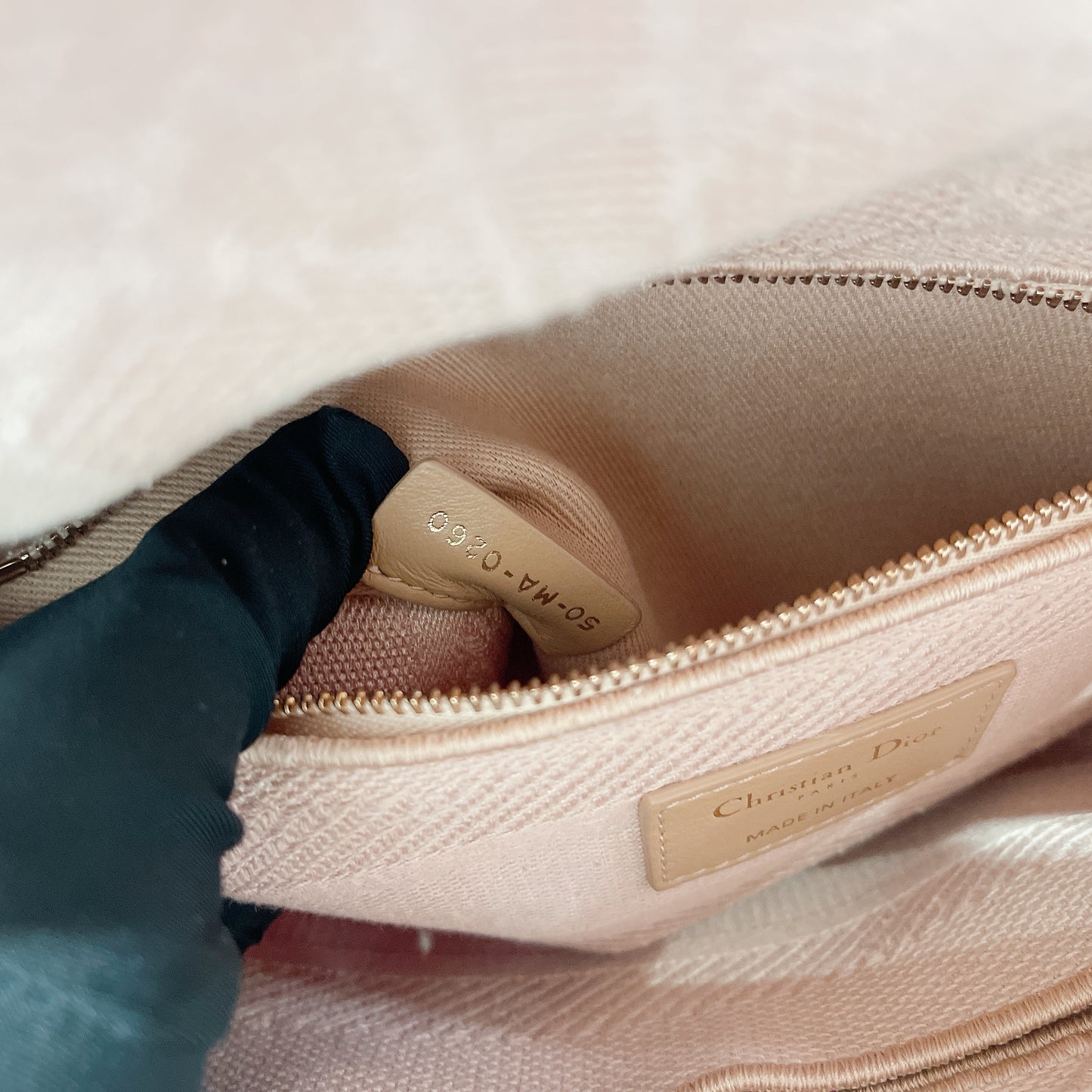 Lady D-Lite Canvas Embroidered Cannage Medium in Pink