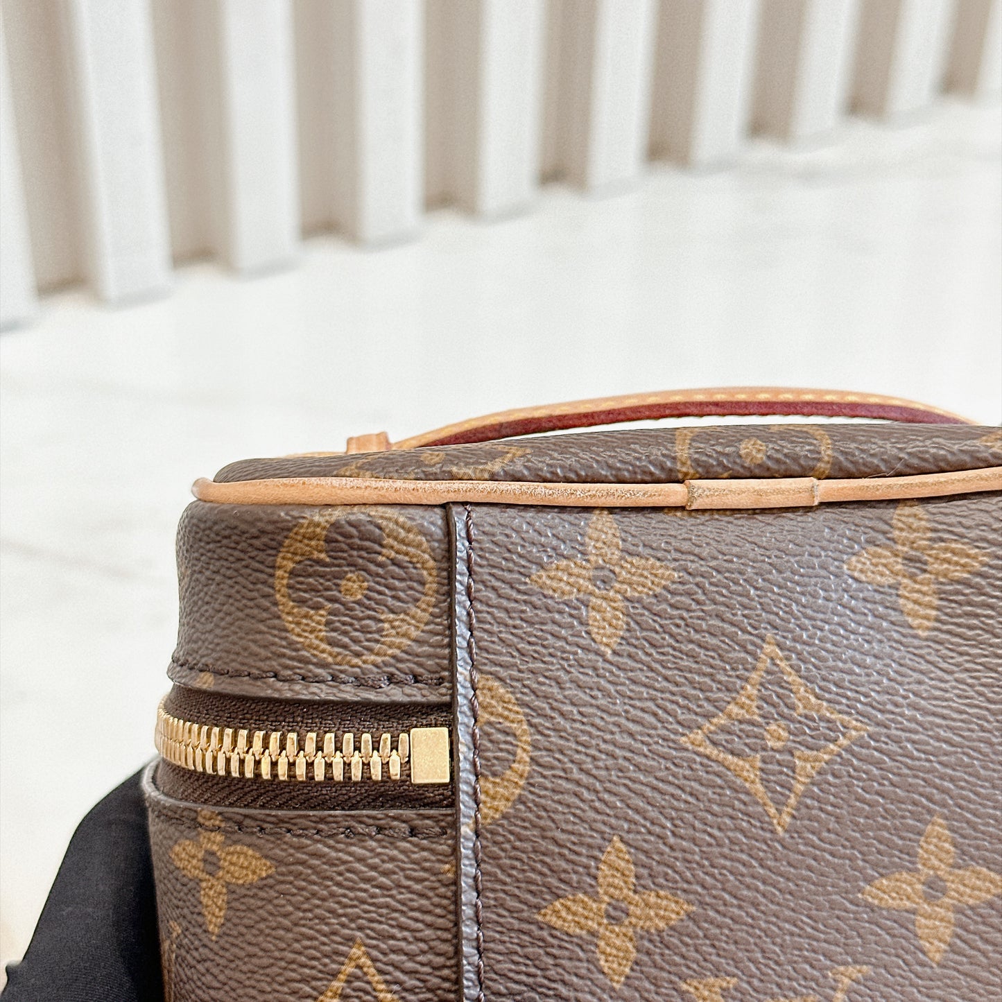 LV Monogram Nano Nice