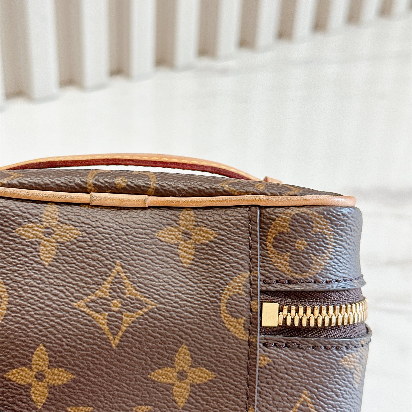 LV Monogram Nano Nice