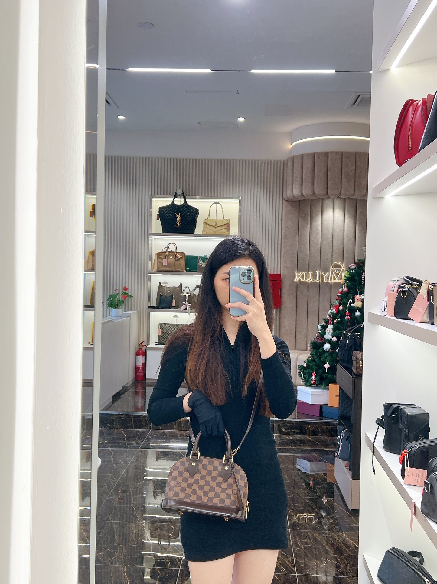LV Damier Ebene Alma BB