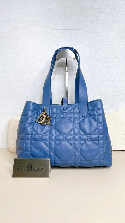 Dior Toujours Medium in Blue