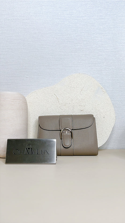 Delvaux Brillant Compact Wallet in Tourterelle