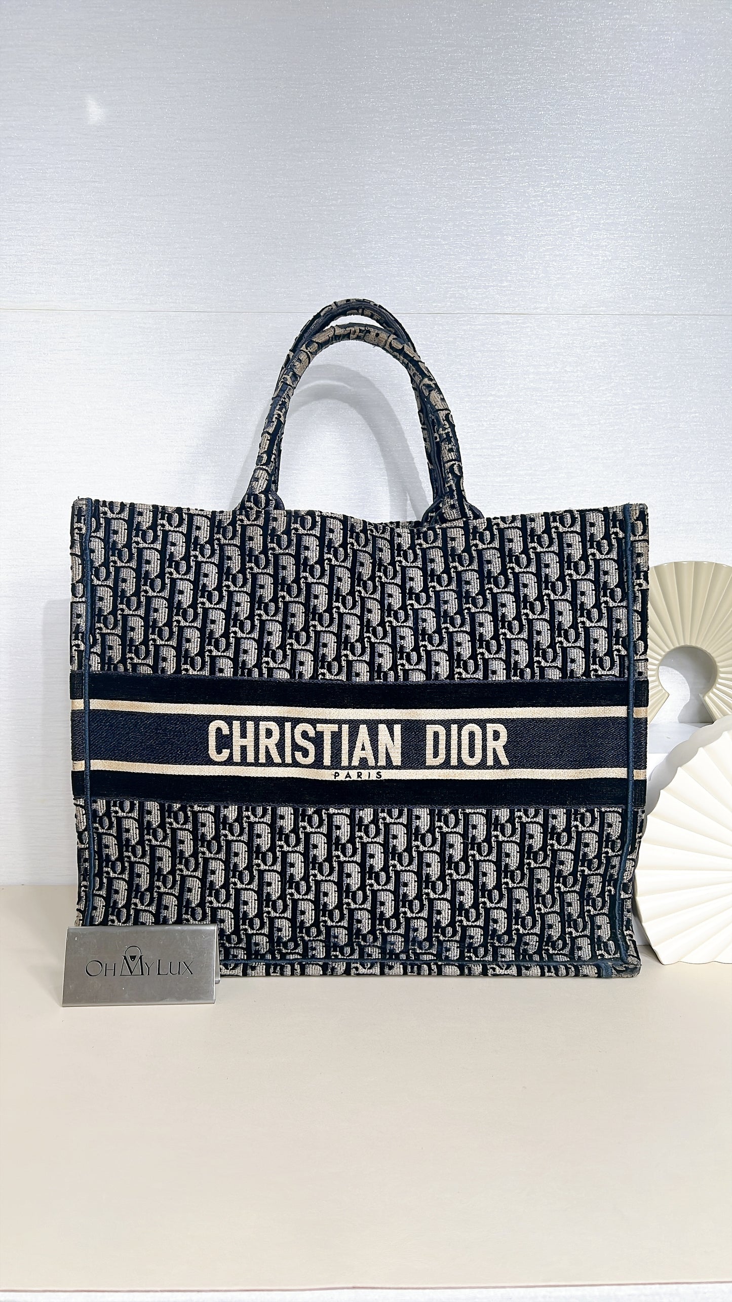 Dior Large Book Tote in Blue in Embroidered Velvet